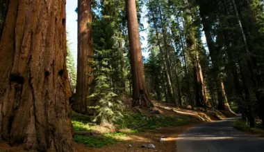 California Groups Urge Newsom to Stop Glyphosate Use After Study Retraction