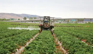 California PFAS pesticide bill fails but sets groundwork, sponsor says