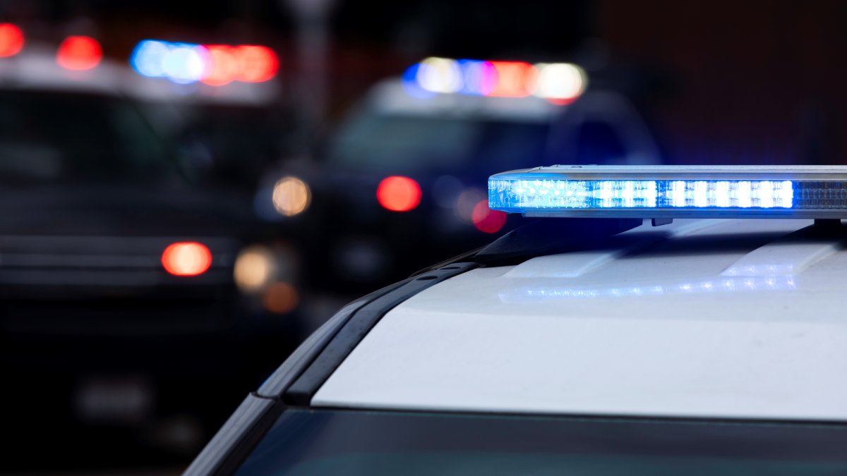 Police looking suspects after UC San Diego Jewish fraternity vandalized – NBC 7 San Diego