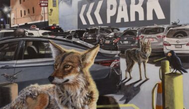 Oceanside Museum of Art Changing Terrain: Regional Artists Interpret Our Landscape