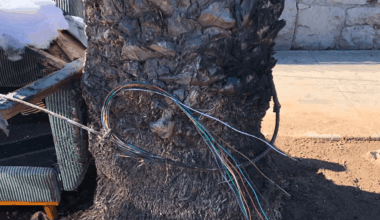 Verizon offers $25,000 reward following fiber optic cable vandalism in Los Angeles
