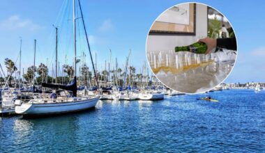 Only 20 minutes from DTLA, North America's largest man-made harbor is running a two-hour weekend brunch cruise with bottomless champagne for $114