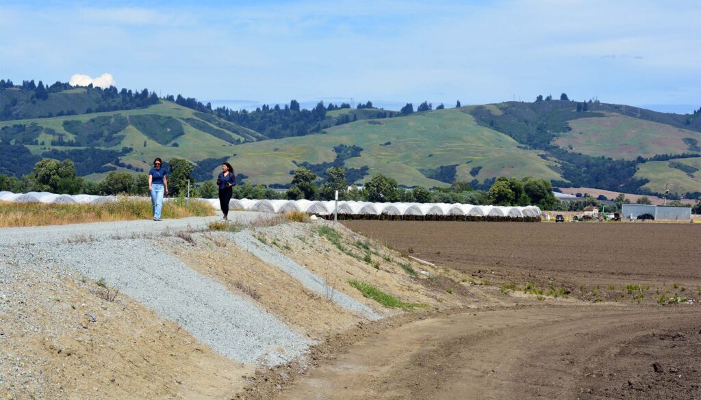 Two people walk on a raised dirt levee next to an agricultural field. Green hills are visible in the background.