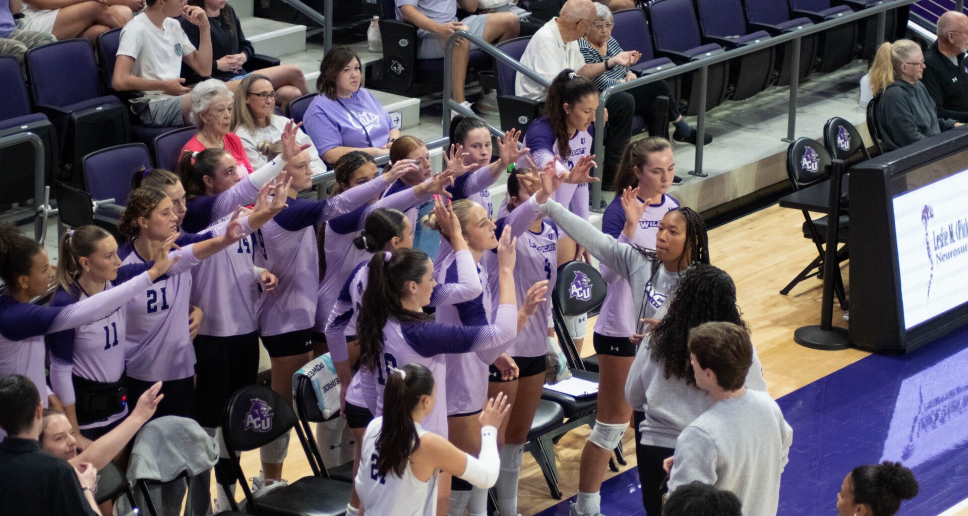 Gallery: Volleyball face defeat against Cal State Bakersfield