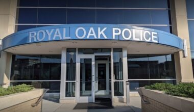 Brawl breaks out during Dream Cruise; police arrest 8 men – The Oakland Press