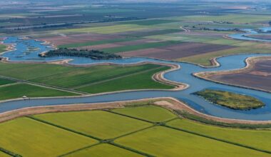 DELTA SCIENCE PROGRAM: Final 2026 Delta Science Plan: Strengthening Science in the Sacramento-San Joaquin Delta ~ MAVEN'S NOTEBOOK
