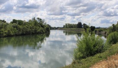 EDWARD RING: Without sediment removal in the Delta, California risks winter flooding ~ MAVEN'S NOTEBOOK