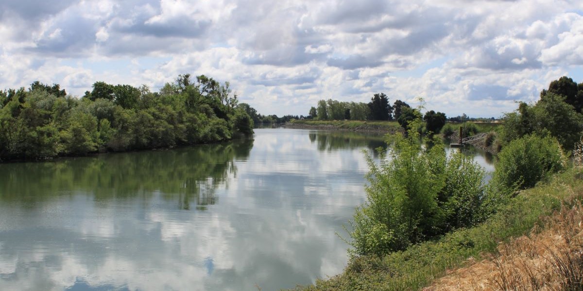 EDWARD RING: Without sediment removal in the Delta, California risks winter flooding ~ MAVEN'S NOTEBOOK