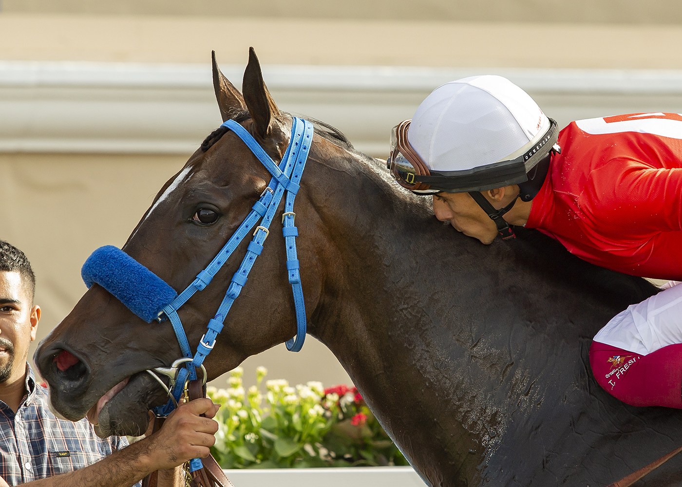 Saturday's Pat O'Brien Stakes at Del Mar a fitting undercard for Del Mar Handicap