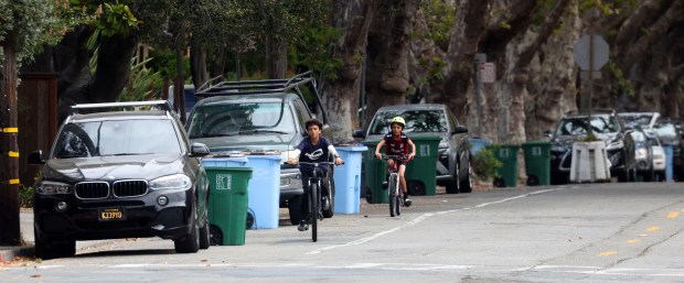 Cyclists ride in a bike lane along Hopkins Street on Thursday, Aug. 13, 2026, in Berkeley, Calif. The city of Berkeley is looking at removing over a hundred parking spaces along Hopkins Street for a new bike lane project. (Aric Crabb/Bay Area News Group)