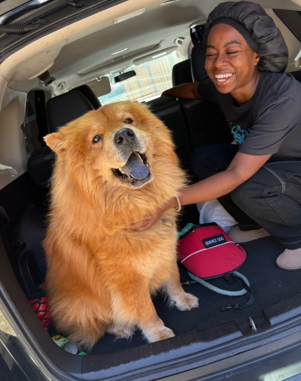 Kiara Bowling was hit Thursday, Aug. 6, by a car allegedly driven by a 6-year-old boy while walking her friend's dog, pictured here. (Photo courtesy of Karon Markham)