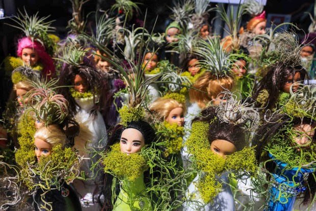 Dryads created by artist Barbara Biddick Breashears are displayed for sale during the Rockridge Rock-N-Stroll event along College Avenue in Oakland, Calif., on Saturday, Aug. 22, 2026. Dryads are female tree spirits or nymphs in Greek mythology. (Ray Chavez/Bay Area News Group)
