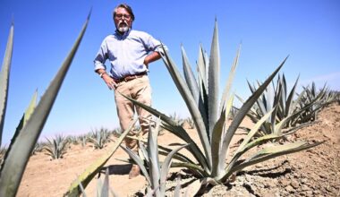 Less bad options for San Joaquin Valley farmers