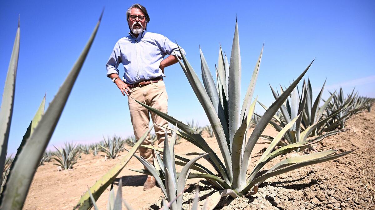 Less bad options for San Joaquin Valley farmers