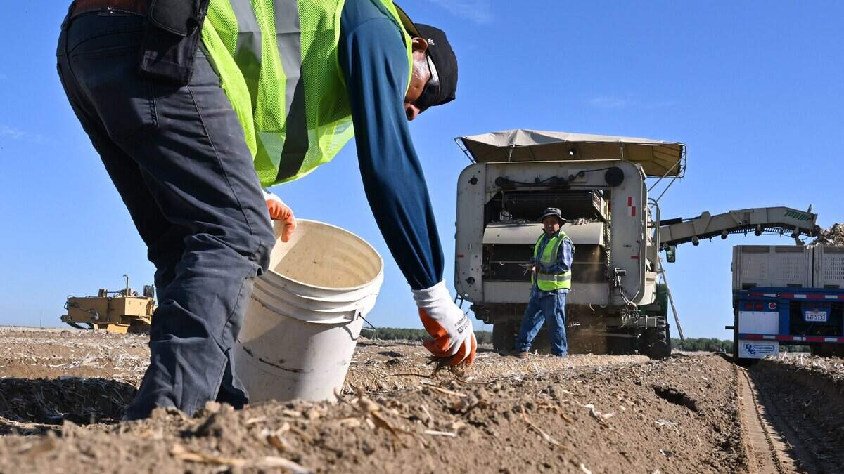 Fresno among top US metros for seasonal foreign labor