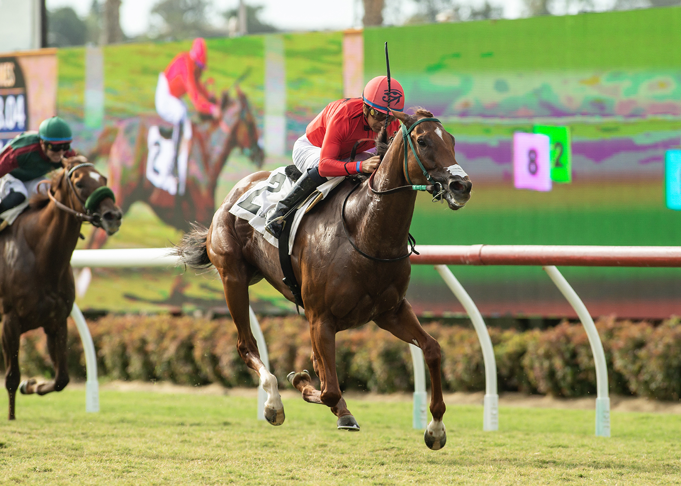 Fibonaccis Ride upsets in Solana Beach Stakes – San Diego Union-Tribune