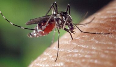 Arcadia reports first West Nile virus case of year – NBC Los Angeles