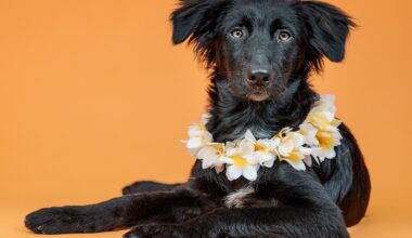 Snapp Shots: East Bay's Bark (and Meow) Around the Block this Saturday