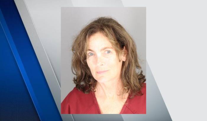 Bingham Farms woman receives sentence for driving drunk along ski slope base