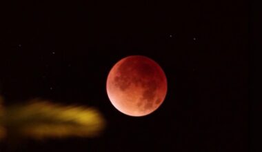 Chabot Space and Science Center to host lunar eclipse watch party – NBC Bay Area