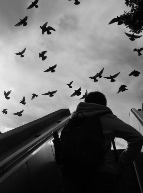 Person with a backpack stands at an outdoor escalator while a flock of birds flies overhead against a cloudy sky.