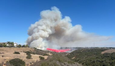 Forward progress stopped in vegetation fire in Peñasquitos Canyon – NBC 7 San Diego