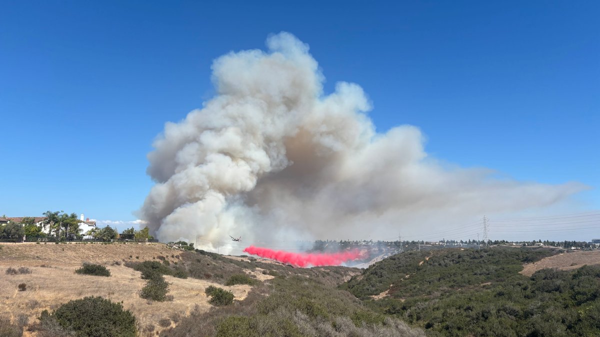 Forward progress stopped in vegetation fire in Peñasquitos Canyon – NBC 7 San Diego