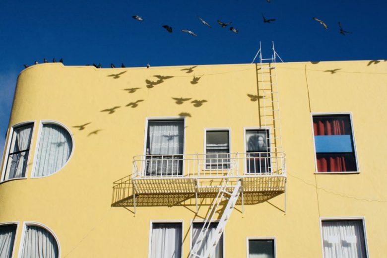 A yellow building with a white fire escape and curved windows. Birds fly overhead, casting shadows on the wall against a clear blue sky.