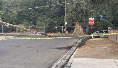Driver dies after crash into utility pole in Fresno