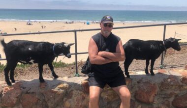 In California, poop on the beach gets one tourist’s goat