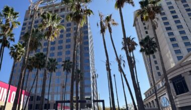 San Jose's Circle of Palms is losing its iconic trees