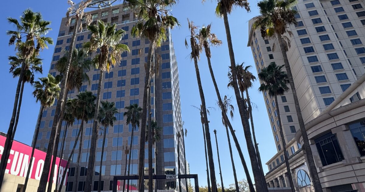 San Jose's Circle of Palms is losing its iconic trees