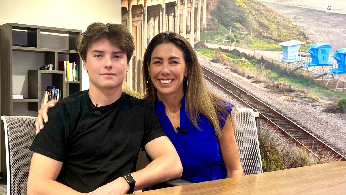 Teen says he’s falsely accused in viral sea lion assault video – NBC 7 San Diego