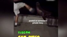 This is a screenshot of the viral video showing the alleged assault on a California sea lion on July 22, 2026.
