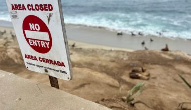 Coastal Commission considers La Jolla Cove closure – NBC 7 San Diego