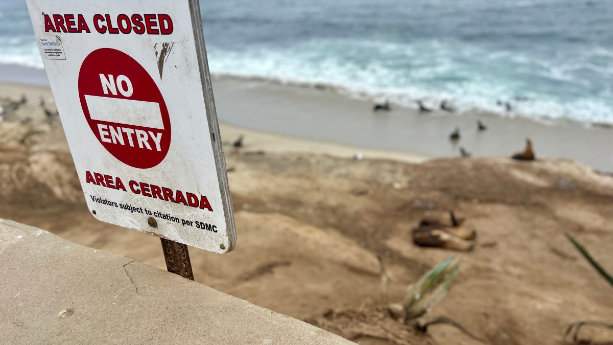 Coastal Commission considers La Jolla Cove closure – NBC 7 San Diego