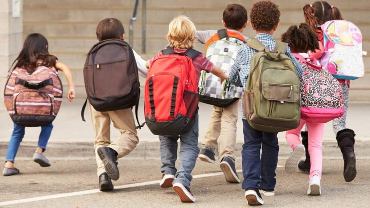 The best elementary schools in Fresno County include campuses in Big Creek, Clovis and Hume.