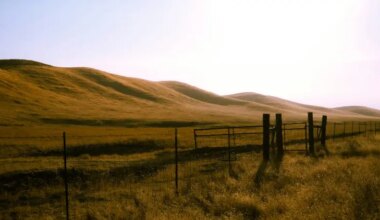 Farmland outside Bakersfield, Calif.