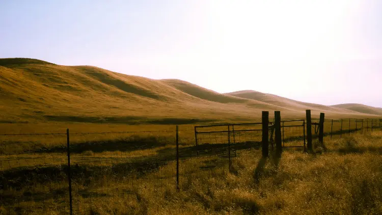 Farmland outside Bakersfield, Calif.