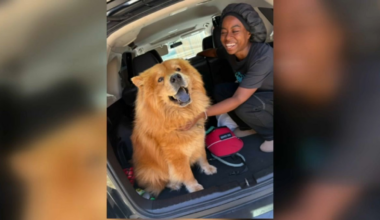 Woman struck by car driven by young boys in Oakland – NBC Bay Area