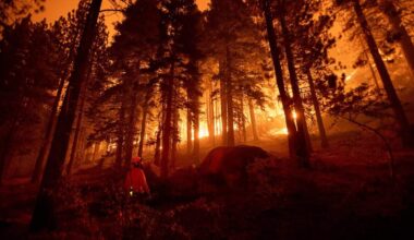 California leaders push back on forest rule rollback