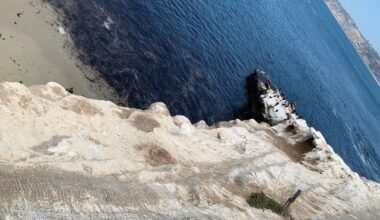 Brandt’s cormorants’ nesting season ends in La Jolla, leaving nearby bluffs empty – San Diego Union-Tribune