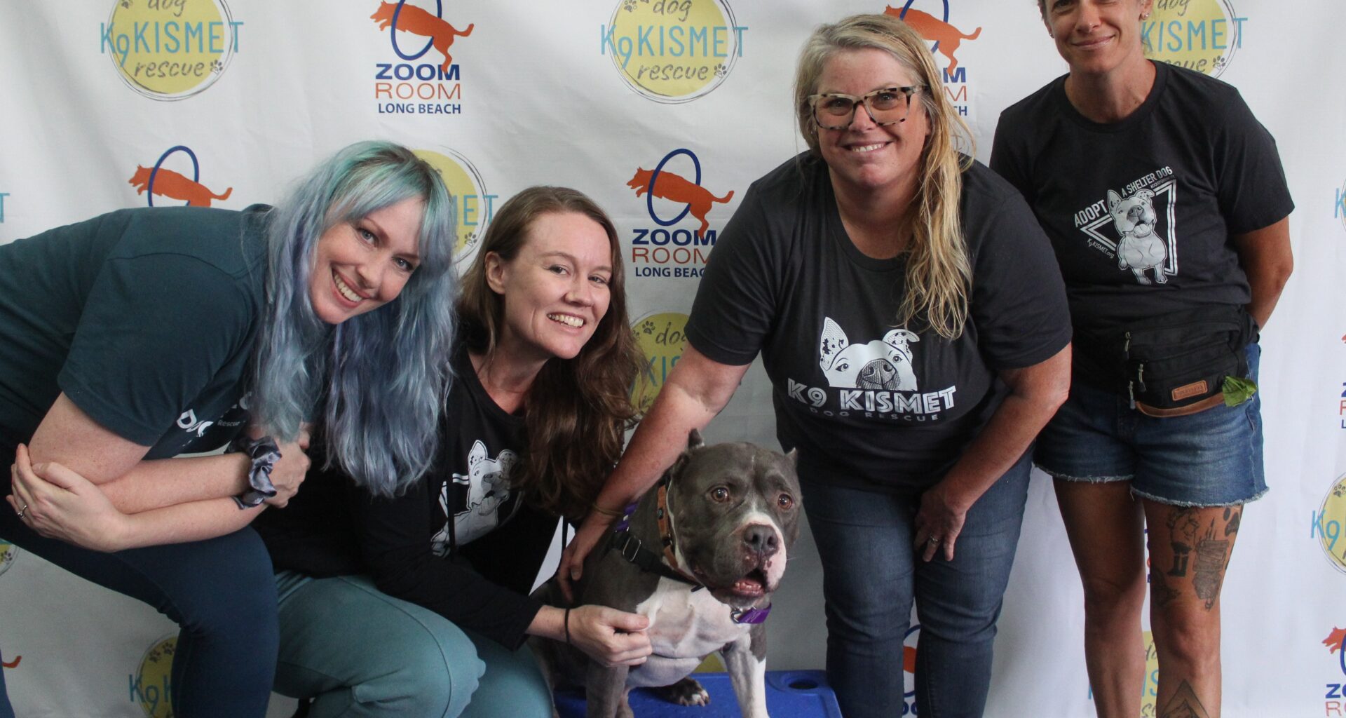 For a Good Cause: Nonprofit K9 Kismet Dog Rescue celebrates 11 years of helping dogs find homes – Press Telegram