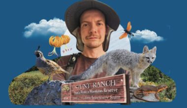 Better than Pokémon: California Biodiversity Day at UCLA Stunt Ranch Reserve