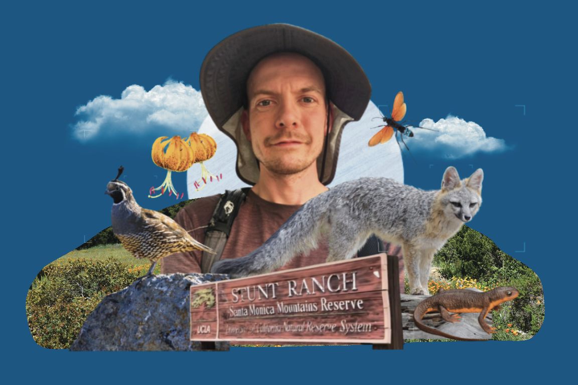 Better than Pokémon: California Biodiversity Day at UCLA Stunt Ranch Reserve