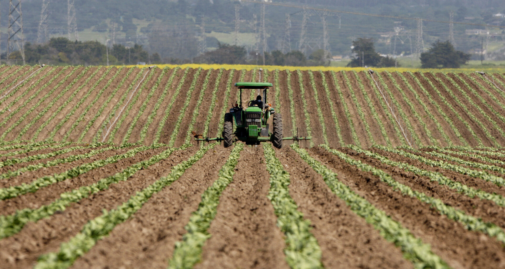 Central Coast activists go to Sacramento to express pesticide concerns – Santa Cruz Sentinel