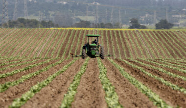Central Coast activists go to Sacramento to express pesticide concerns – Santa Cruz Sentinel