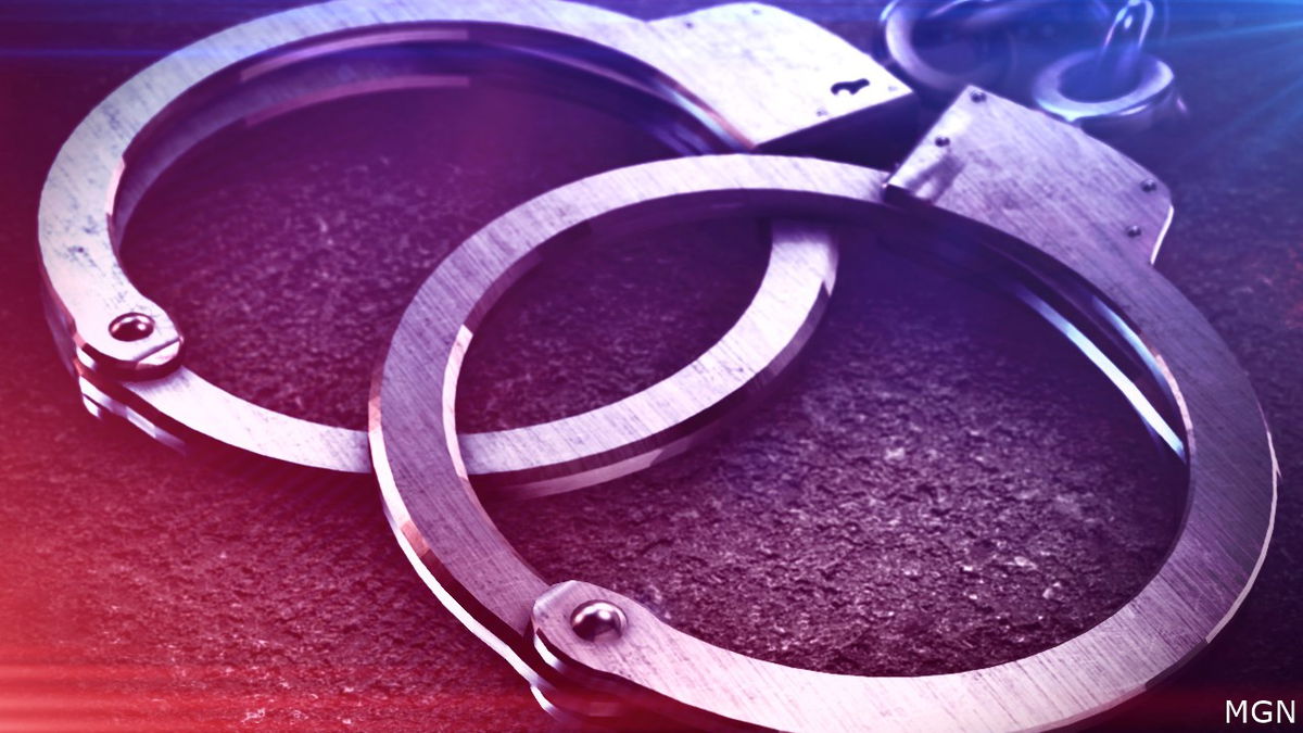 Non-citizen charged in LA with fraudulently registering to vote