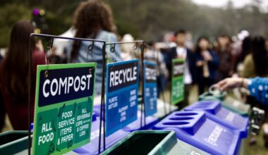 Meet the attendees keeping Outside Lands green