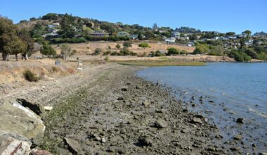 Tiburon approves $468K contract for Greenwood Beach restoration